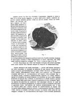 giornale/TO00180887/1931/unico/00000115