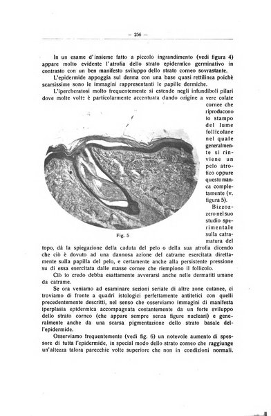 Il Cancro rivista trimestrale del centro per lo studio, diagnosi e cura dei tumori