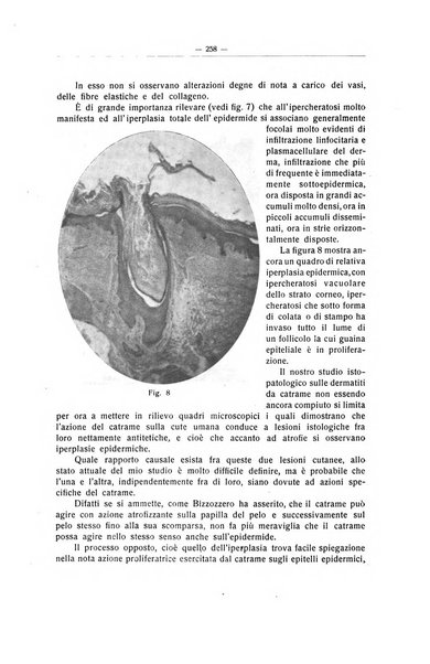 Il Cancro rivista trimestrale del centro per lo studio, diagnosi e cura dei tumori