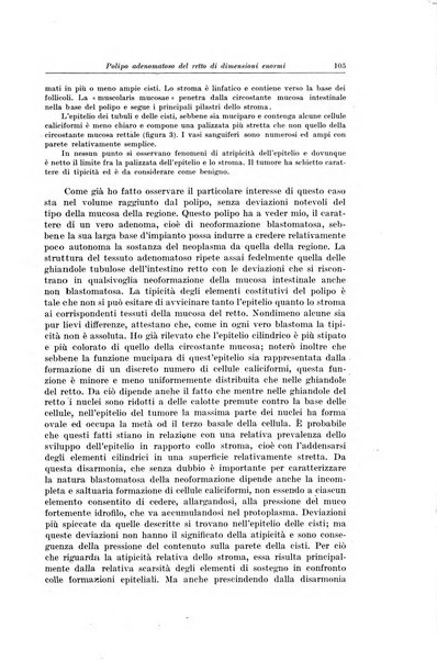 Il Cancro rivista trimestrale del centro per lo studio, diagnosi e cura dei tumori