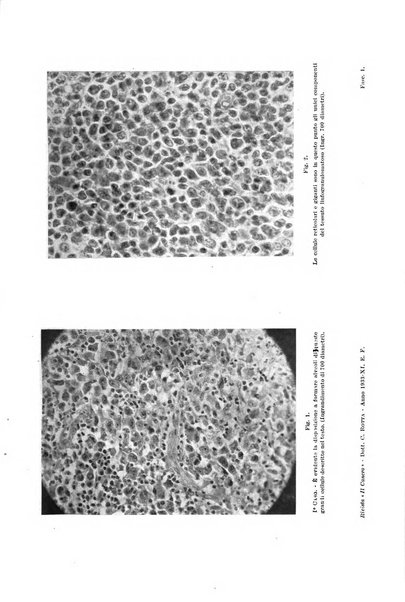 Il Cancro rivista trimestrale del centro per lo studio, diagnosi e cura dei tumori