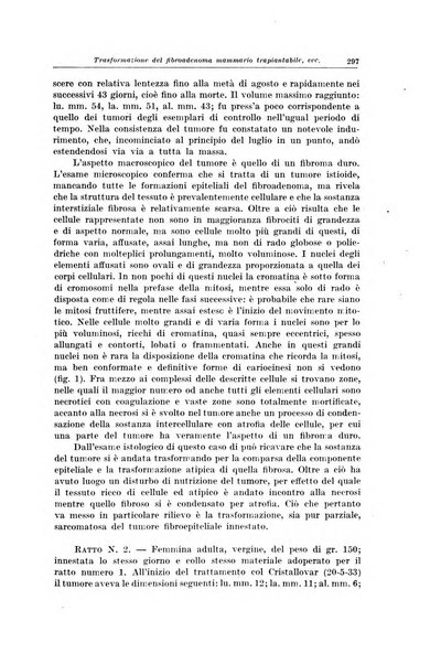 Il Cancro rivista trimestrale del centro per lo studio, diagnosi e cura dei tumori