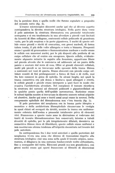 Il Cancro rivista trimestrale del centro per lo studio, diagnosi e cura dei tumori