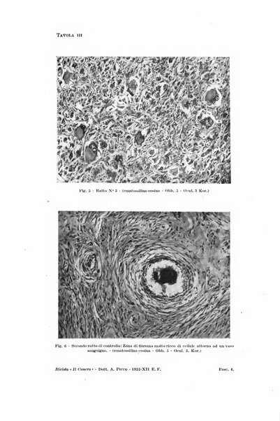 Il Cancro rivista trimestrale del centro per lo studio, diagnosi e cura dei tumori