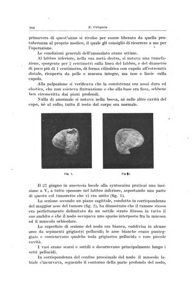 Il Cancro rivista trimestrale del centro per lo studio, diagnosi e cura dei tumori