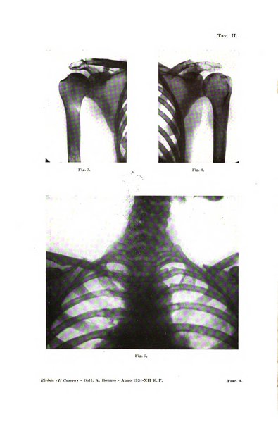 Il Cancro rivista trimestrale del centro per lo studio, diagnosi e cura dei tumori