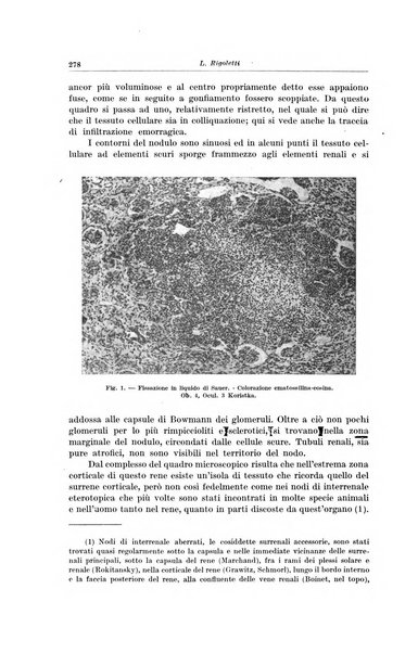 Il Cancro rivista trimestrale del centro per lo studio, diagnosi e cura dei tumori