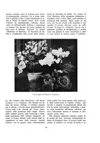 giornale/TO00181044/1935/unico/00000201