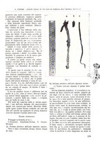 giornale/TO00181551/1937/unico/00000623