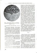 giornale/TO00181551/1937/unico/00000624