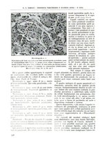 giornale/TO00181551/1937/unico/00000798