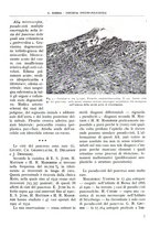 giornale/TO00181551/1941/unico/00000013