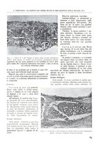 giornale/TO00181551/1941/unico/00000101