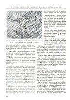 giornale/TO00181551/1941/unico/00000102