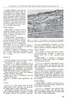 giornale/TO00181551/1941/unico/00000105