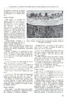giornale/TO00181551/1941/unico/00000107