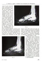 giornale/TO00181551/1941/unico/00000609