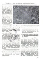 giornale/TO00181551/1941/unico/00000667