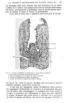 giornale/TO00181553/1900/unico/00000031