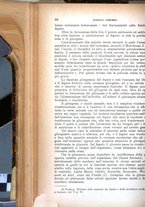 giornale/TO00181553/1907/v.1/00000078
