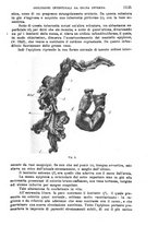 giornale/TO00181553/1907/v.2/00000047