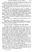giornale/TO00181553/1907/v.2/00000075