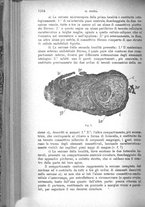 giornale/TO00181553/1907/v.2/00000076