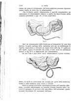 giornale/TO00181553/1907/v.2/00000080