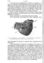 giornale/TO00181553/1907/v.2/00000096