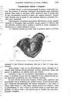 giornale/TO00181553/1907/v.2/00000097