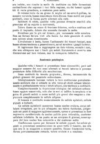 giornale/TO00181553/1908/v.1/00000018