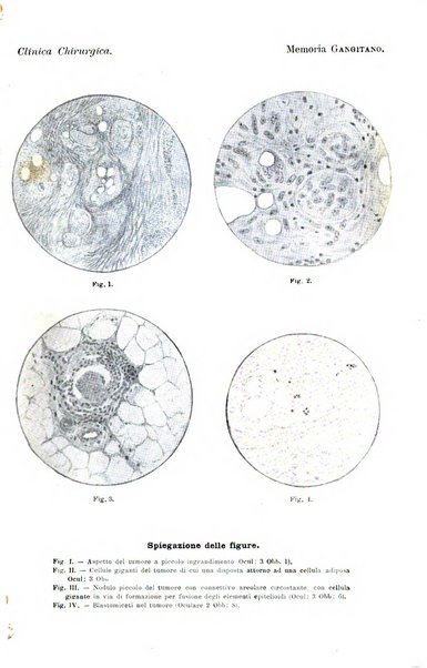 La clinica chirurgica periodico mensile