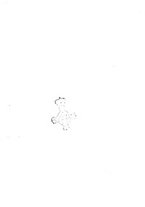 giornale/TO00181553/1909/v.2/00000039