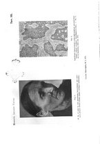 giornale/TO00181553/1911/v.1/00000021