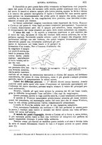 giornale/TO00181553/1912/v.2/00000077