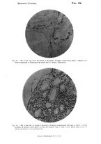 giornale/TO00181553/1915/v.2/00000049
