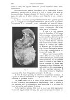 giornale/TO00181553/1916/v.2/00000032