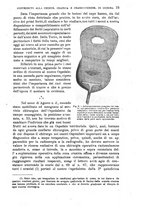 giornale/TO00181553/1917/v.2/00000021
