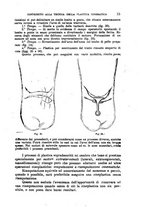 giornale/TO00181553/1919/v.1/00000021