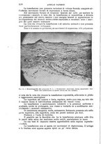 giornale/TO00181553/1920/v.2/00000084