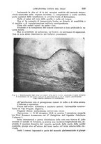 giornale/TO00181553/1920/v.2/00000085