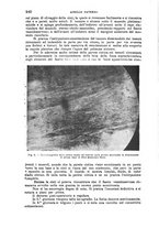 giornale/TO00181553/1920/v.2/00000086