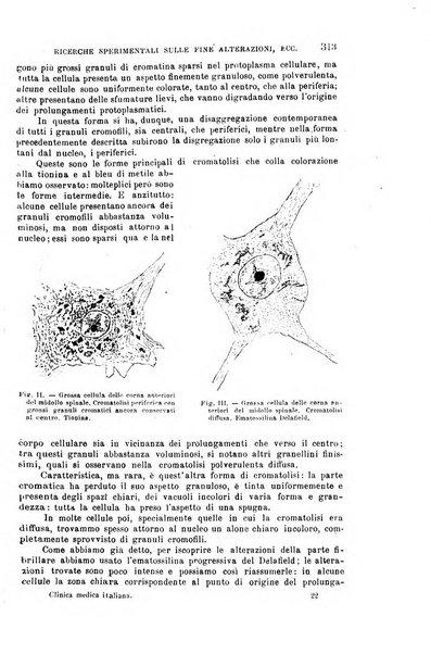 La clinica medica italiana