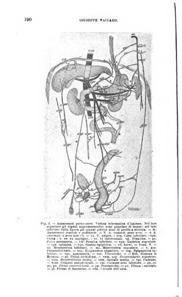 La clinica medica italiana