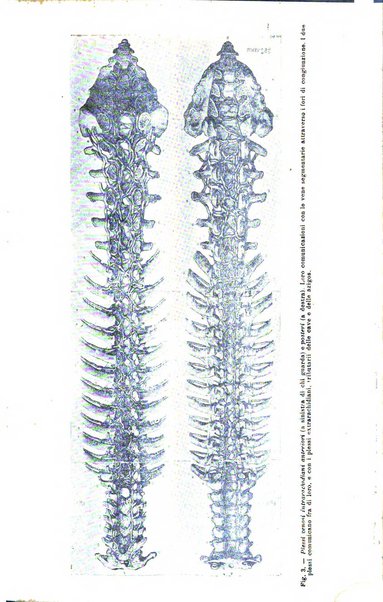 La clinica medica italiana