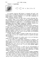 giornale/TO00181557/1904/unico/00000626