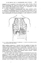 giornale/TO00181557/1905/unico/00000259