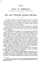 giornale/TO00181557/1905/unico/00000675