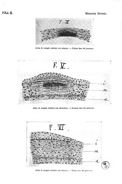 La clinica medica italiana