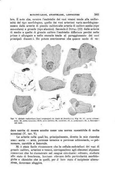 La clinica medica italiana